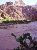 Colorado River - Grand Canyon National Park, AZ