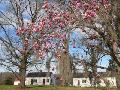 Natchez National Historical Park, MS