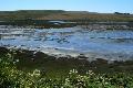 Point Reyes National Seashore, CA