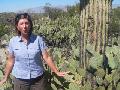 Saguaro National Park - Tucson, AZ