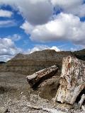 Theodore Roosevelt National Park