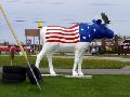 Patriotic Moose - Upper Penninsula, MI