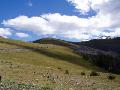 Yellowstone National Park, WY