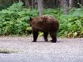 Glacier National Park