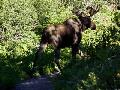 Glacier National Park